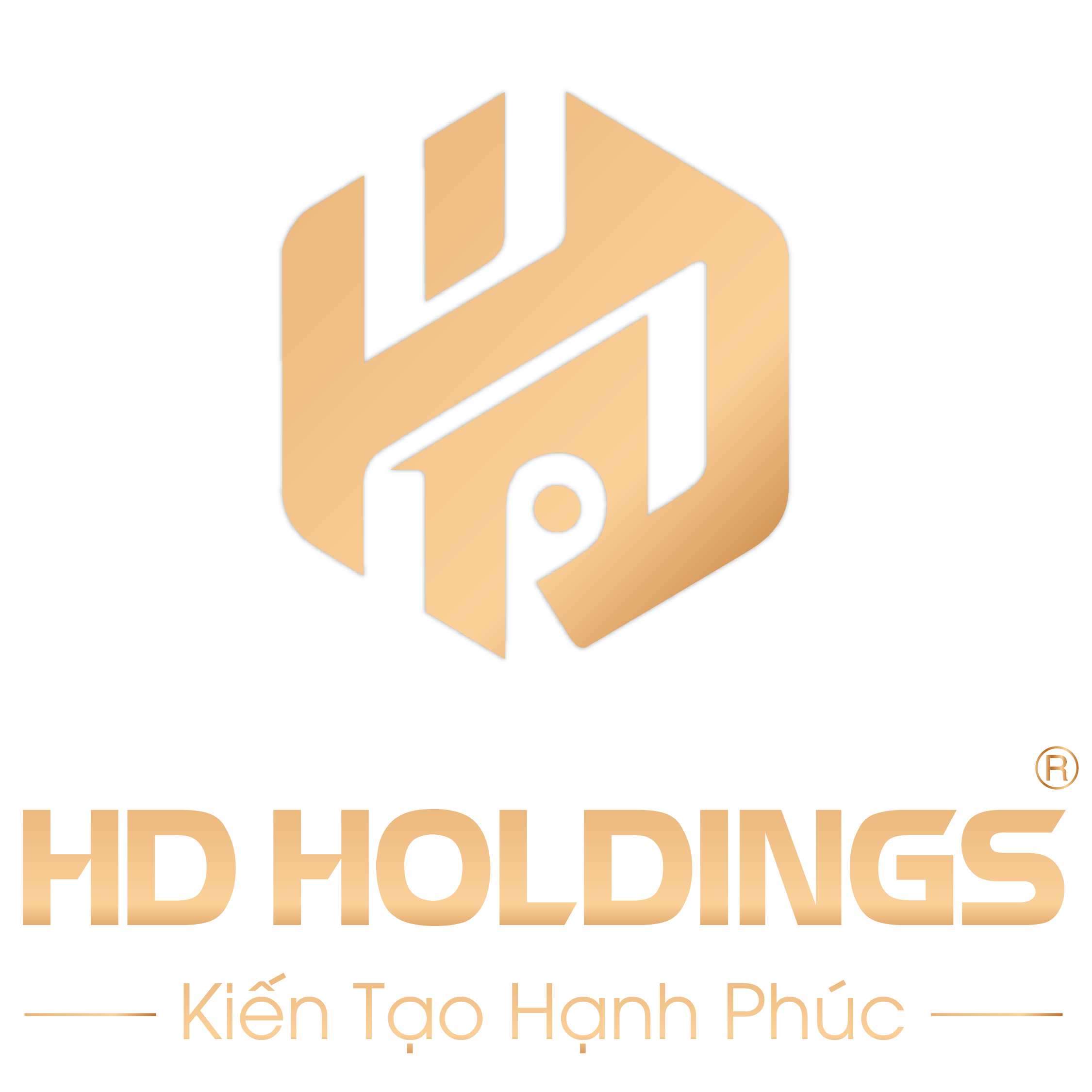 LOGO HD HOLDINGS